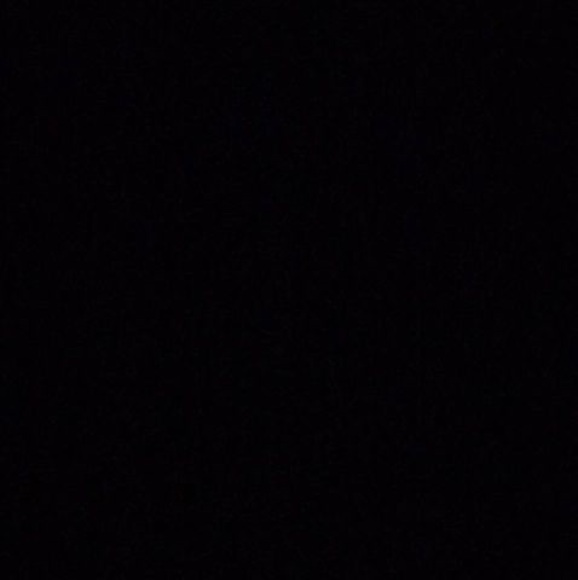 Meet your Posher, Logan - Picture 1 of 1